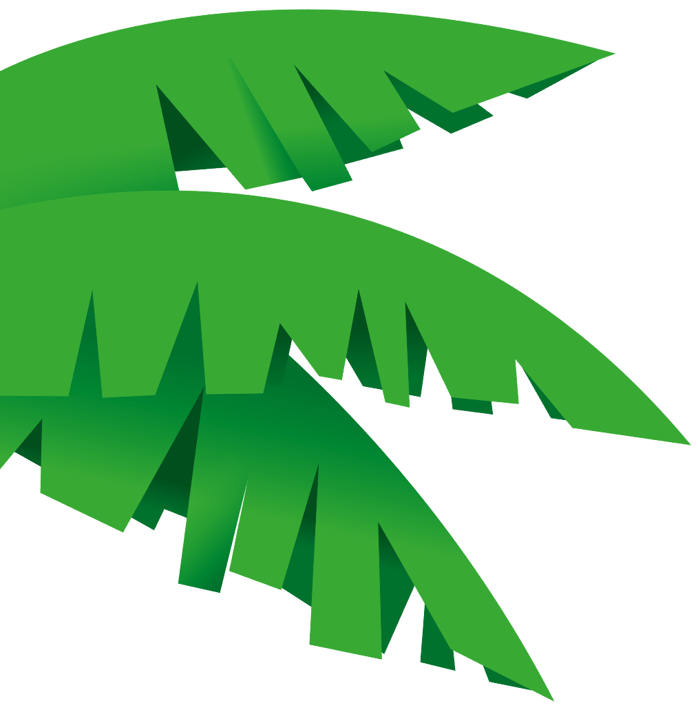 drei grüne Kaba Palmenblätter